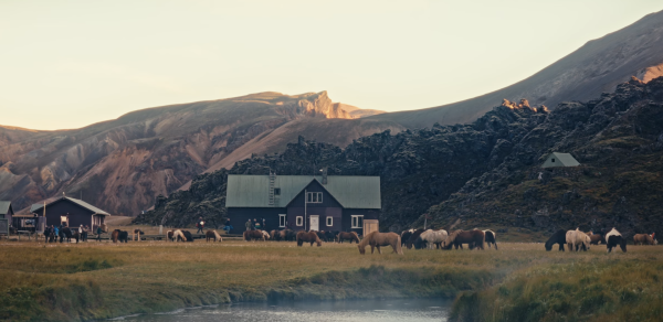 Fjallferð